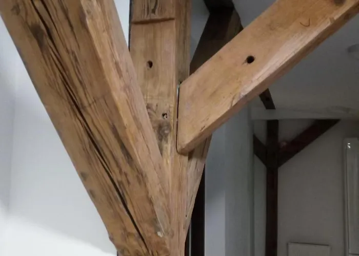 Homestay Strych Kosciuszki - Duzy Szczecin